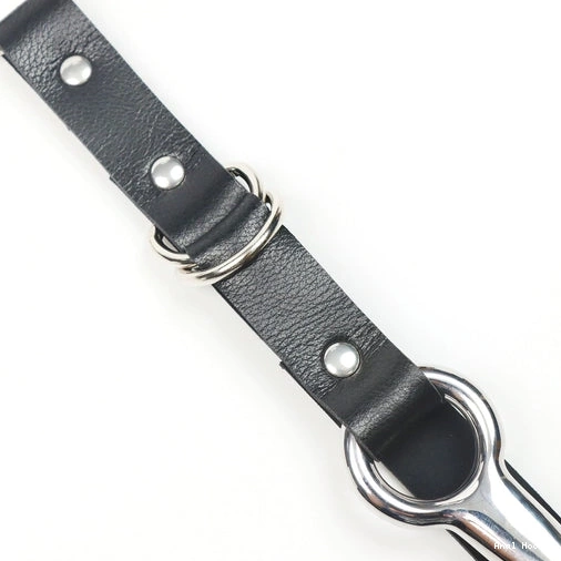 Anal Hooks EverydayUse and with Hook Kinky Leash 5853 Anal Collar 0128